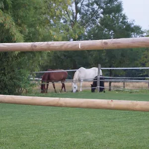 Hébergement de vacances De La Jument Grise, Lescheroux
