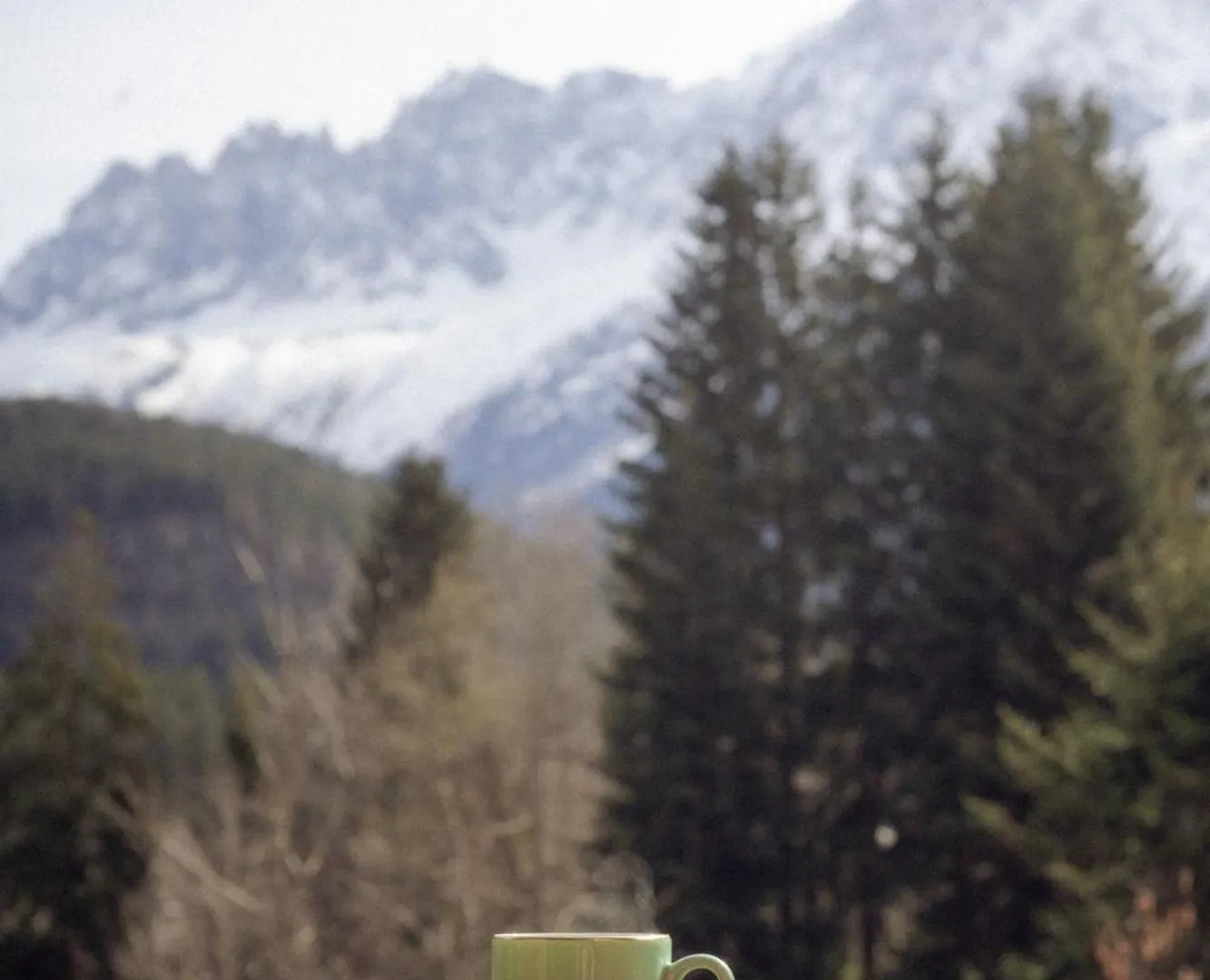 Chalet Vinales Les Houches